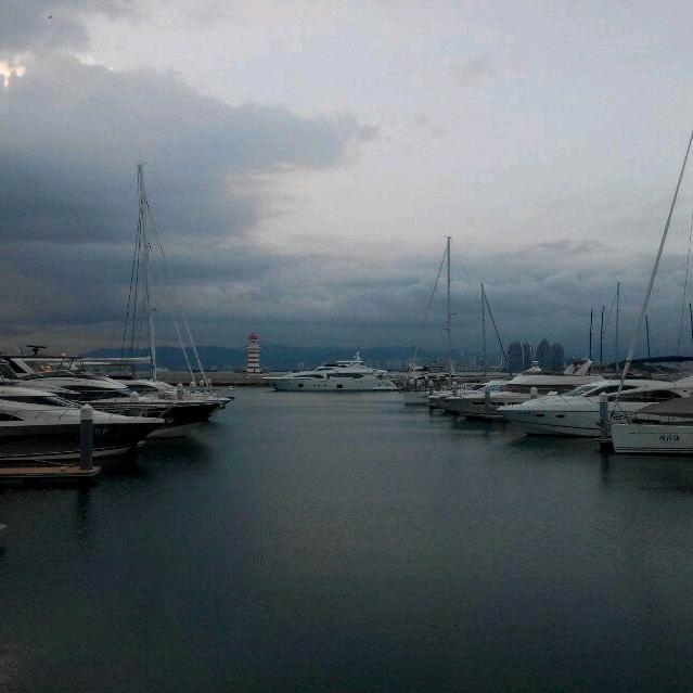 天空海阔凭鱼跃