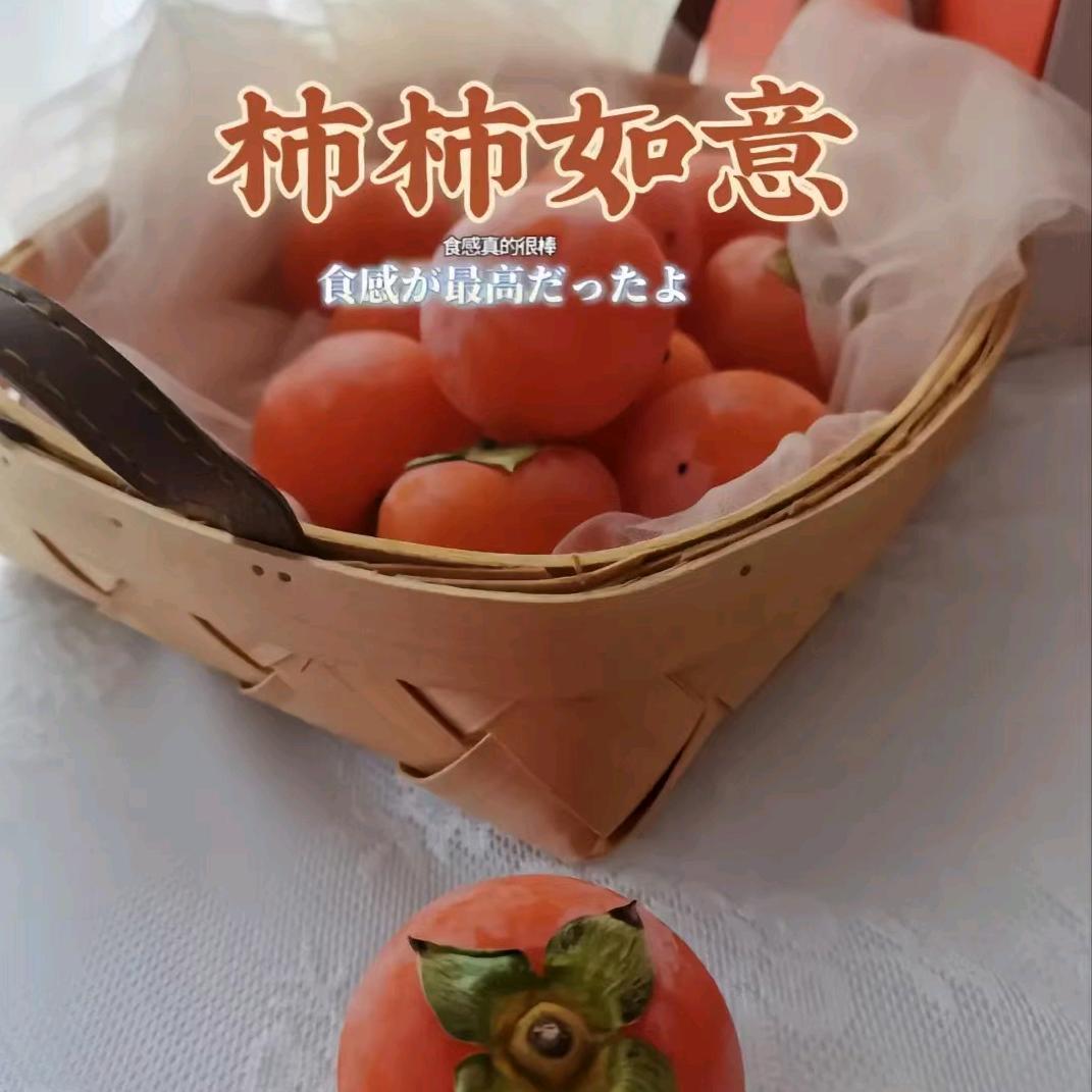 丁琪丽