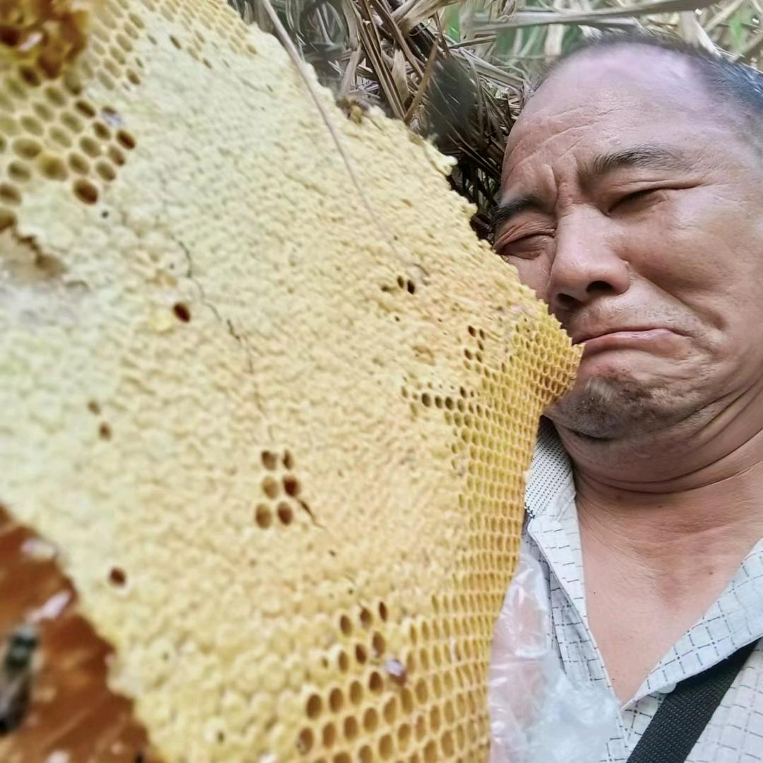 湘农文子蜂产品