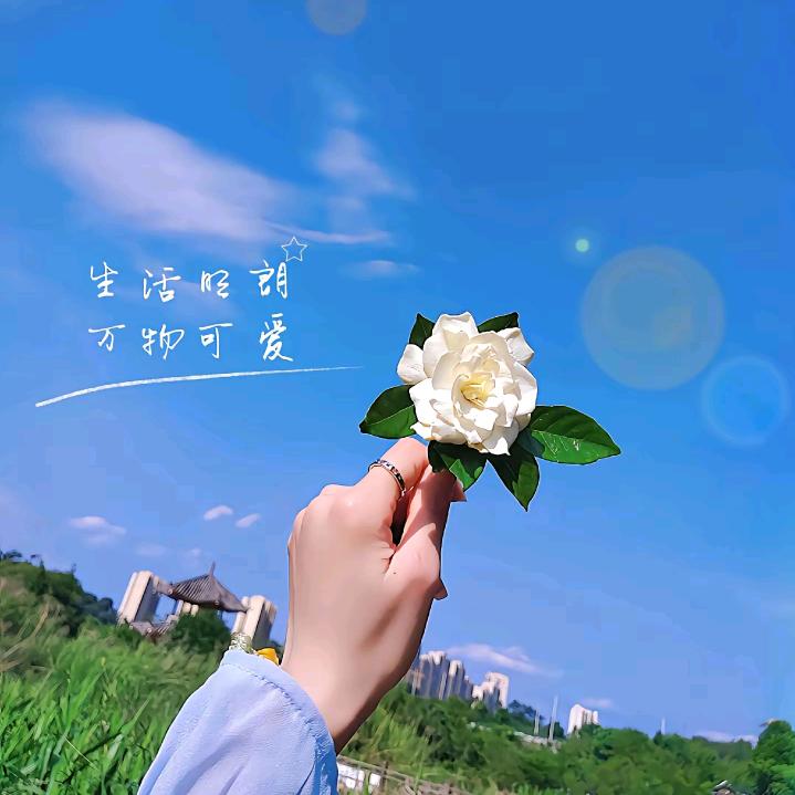 王丽丽07