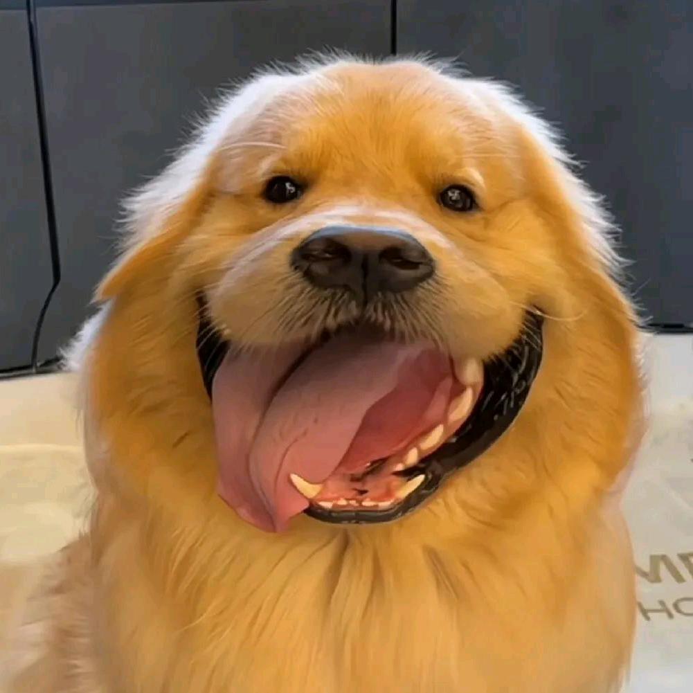 现在就挺好