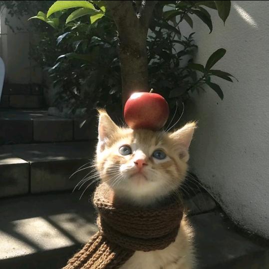 、
