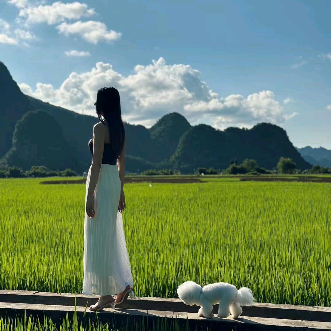 爱旅行的妍妍