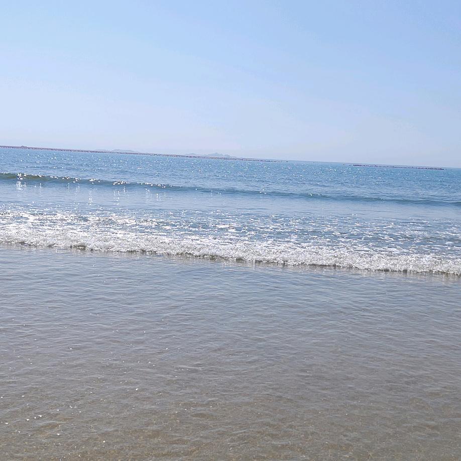 花成花，树成树