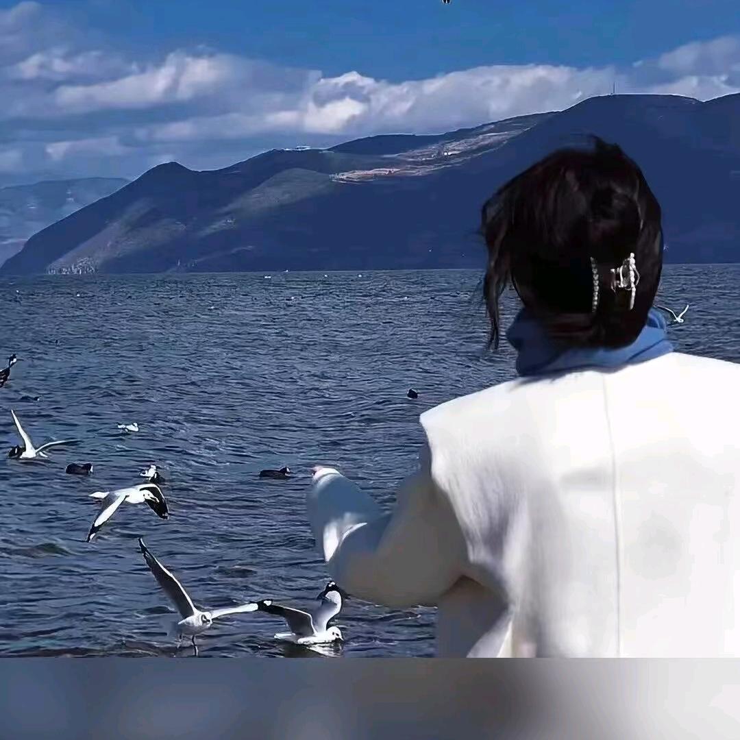 鑫姐的生活号☑️☑️