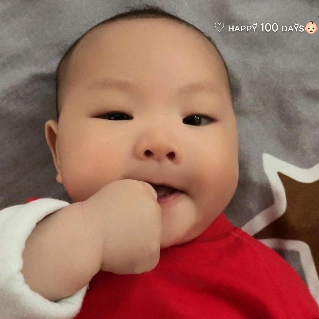 豪豪在长大