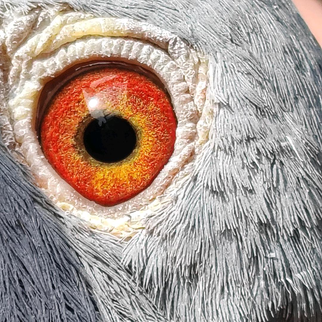 大伟断桥铝门窗