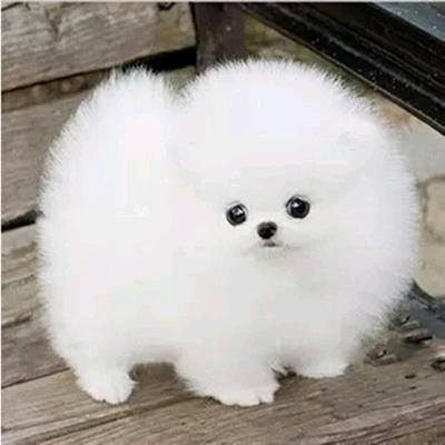 期盼未来