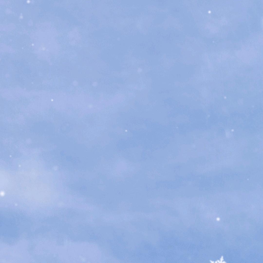 骗不到我