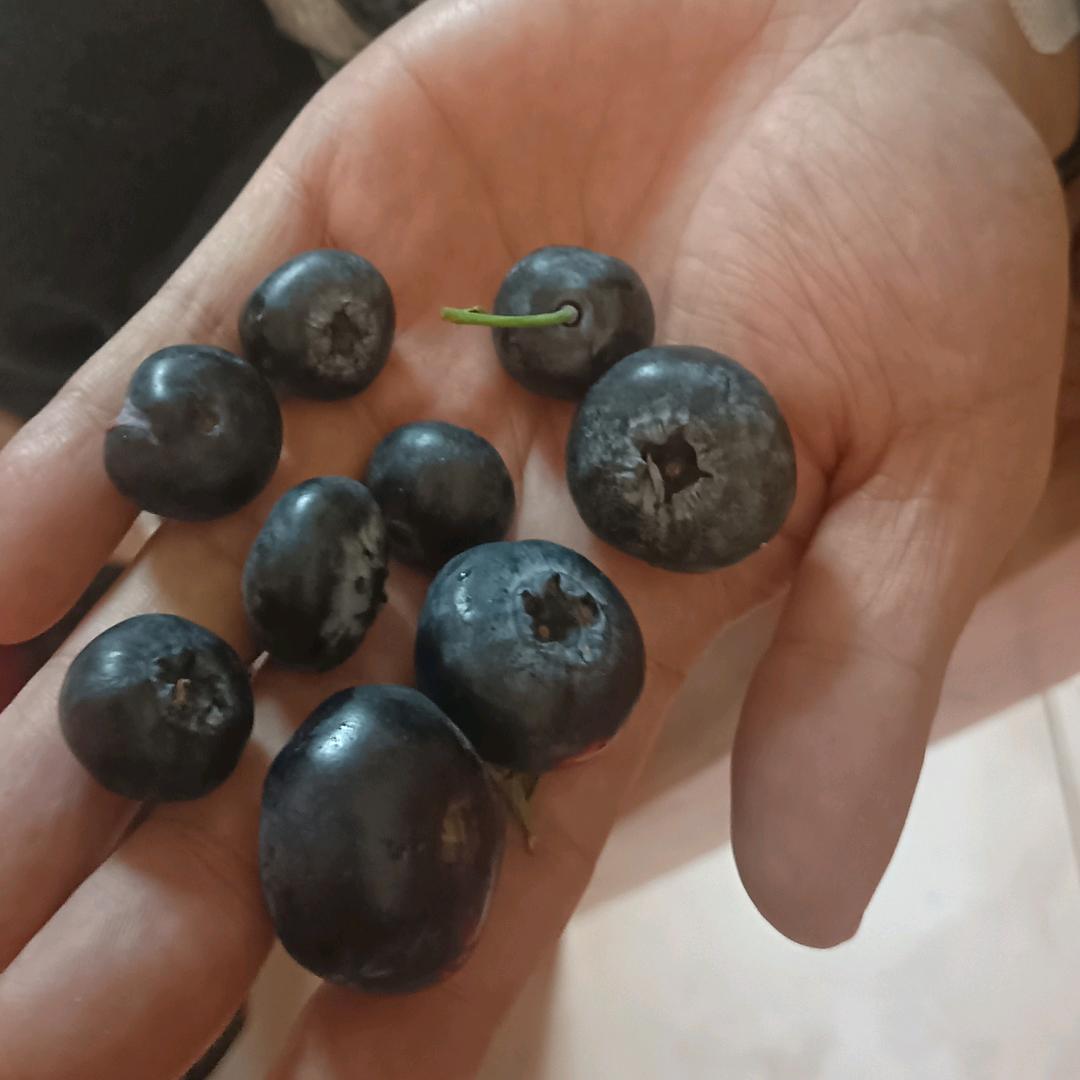 范小小