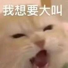 脸脸探探草