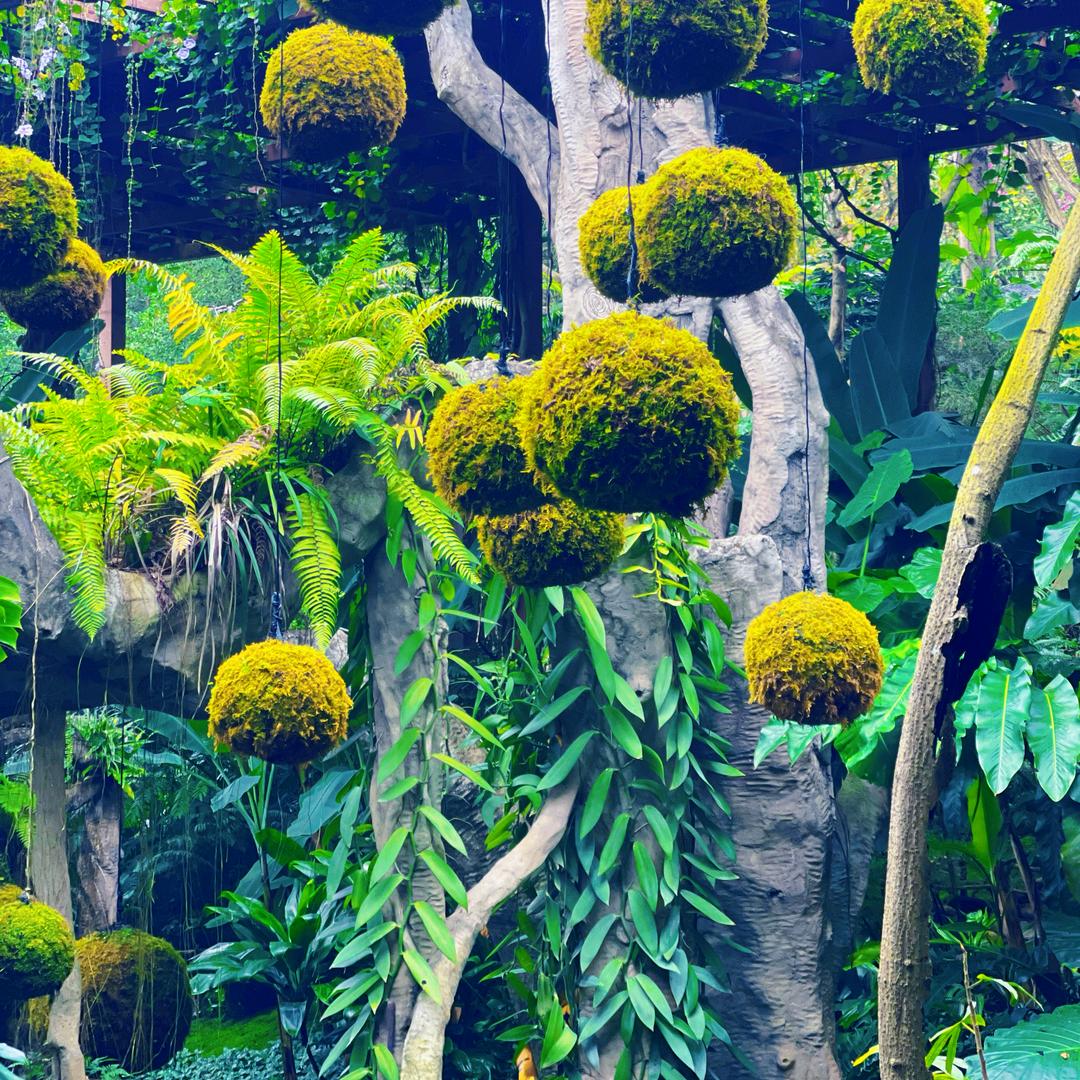 王刚与漆岁蒲生活坊