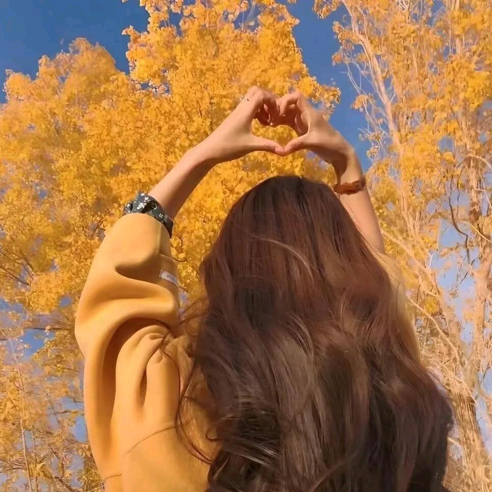 栖篮💗