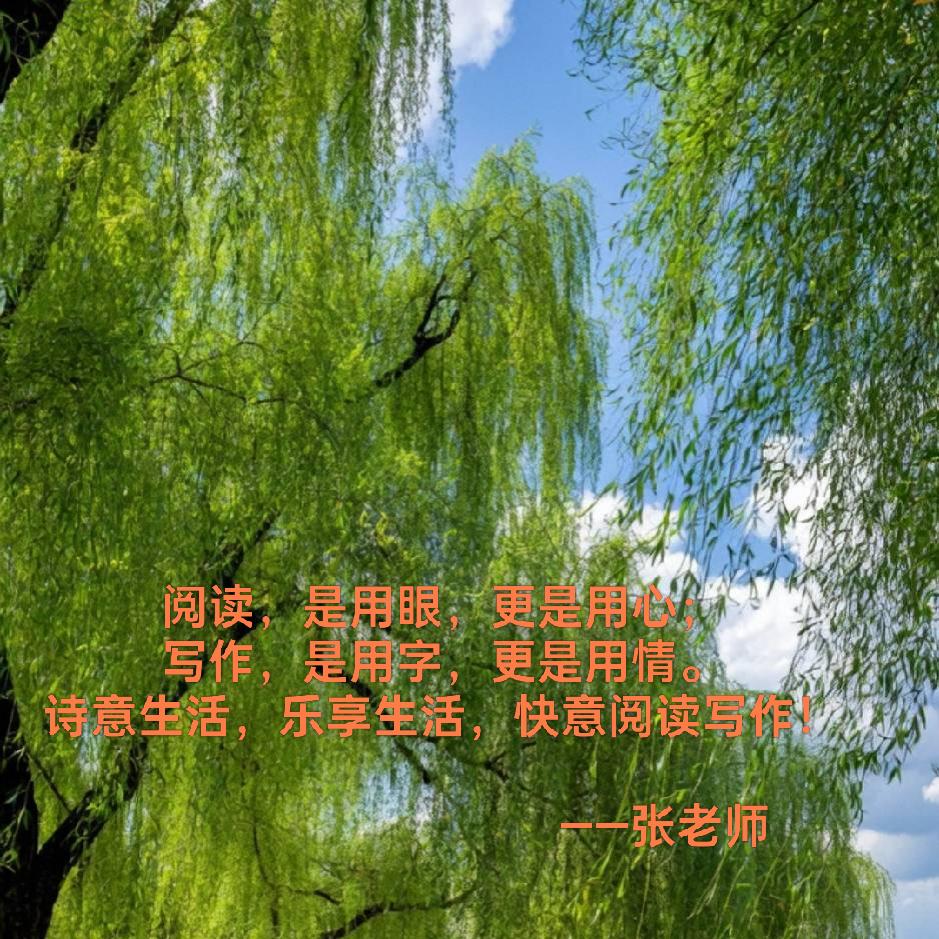 非凡成长营
