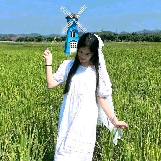 Y咖啡