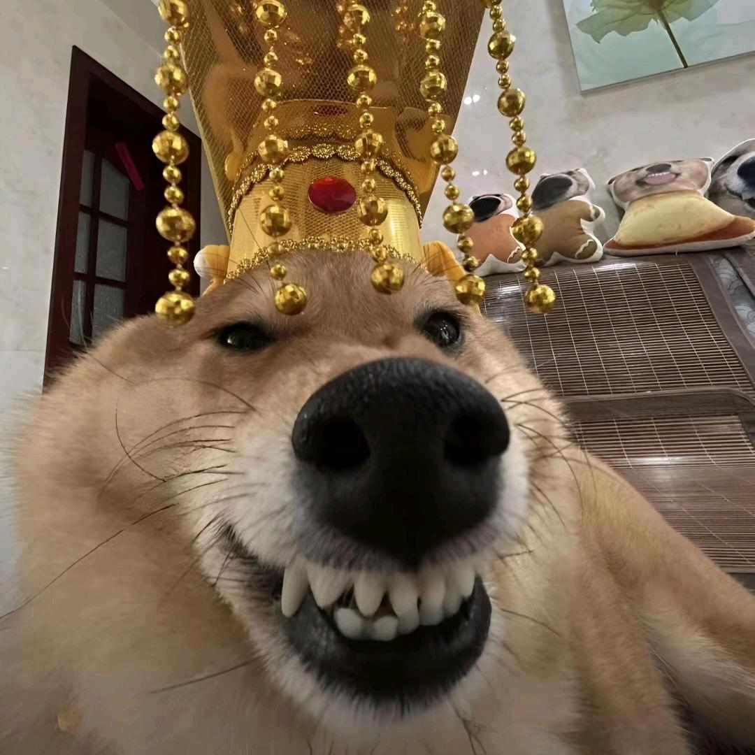 少姜