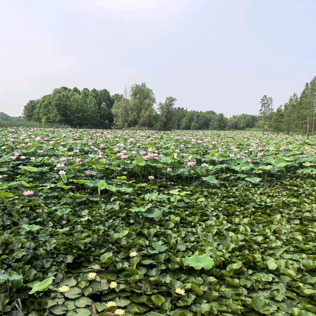 中国石化山东烟台牟平石油分公司