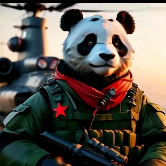 一切都是最好的安排☀️