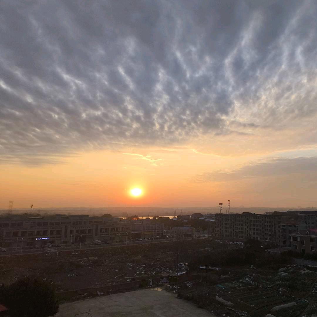 楠瓜