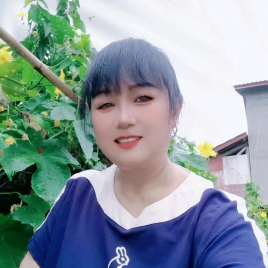 人醒梦易碎