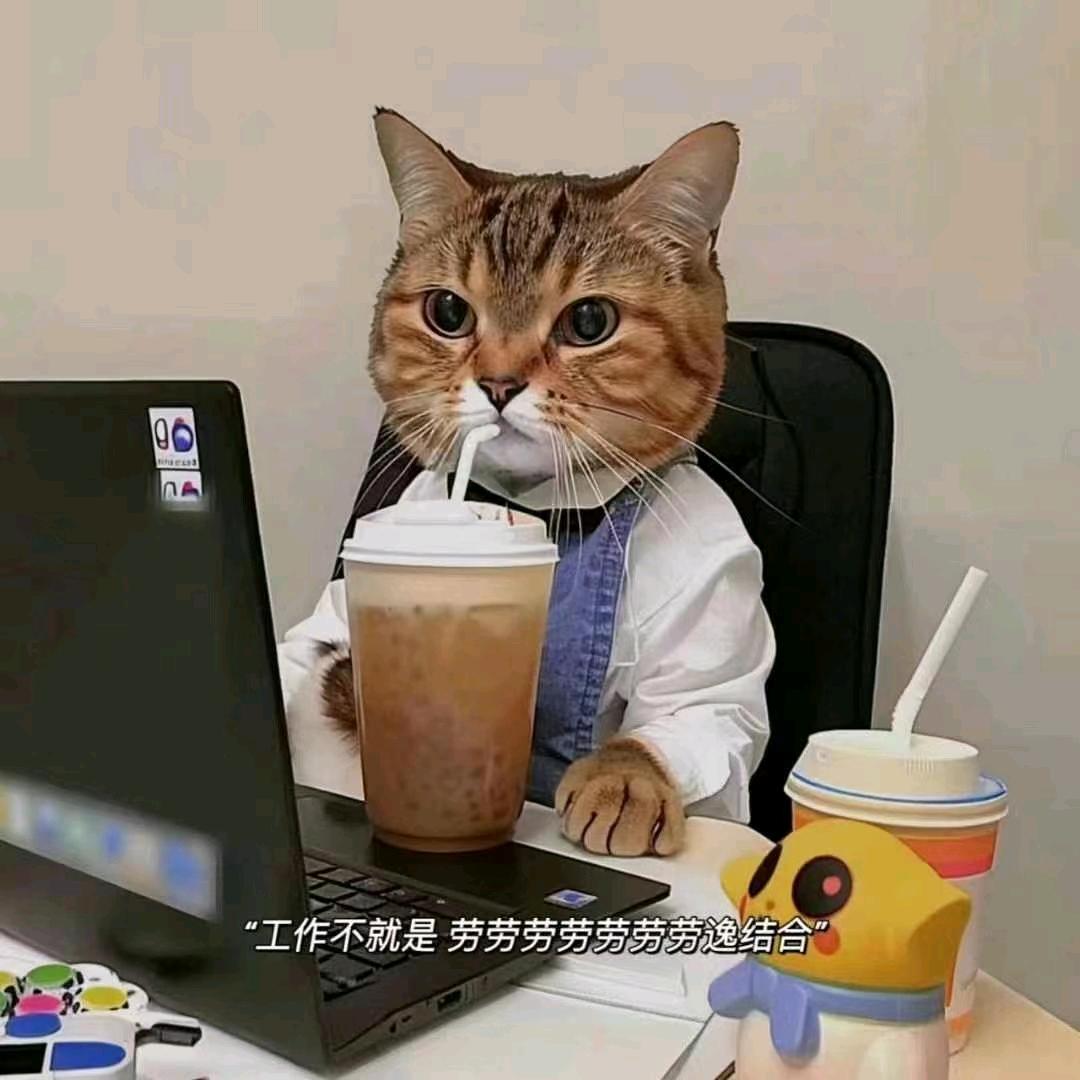 石狮赣渝辅料