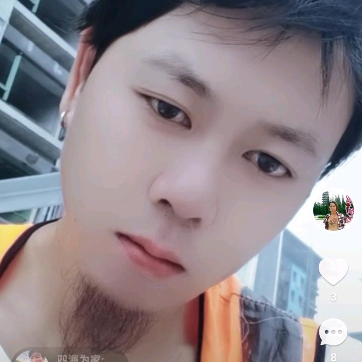 杨英光