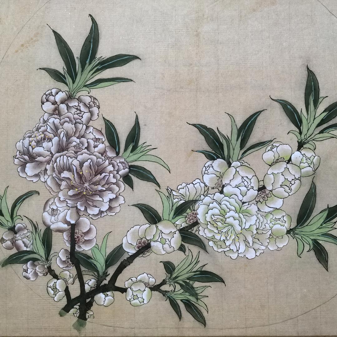 红菱