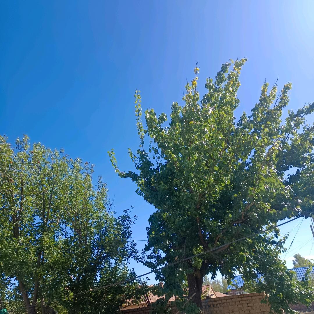 红太阳🌞🌞🌞🌞