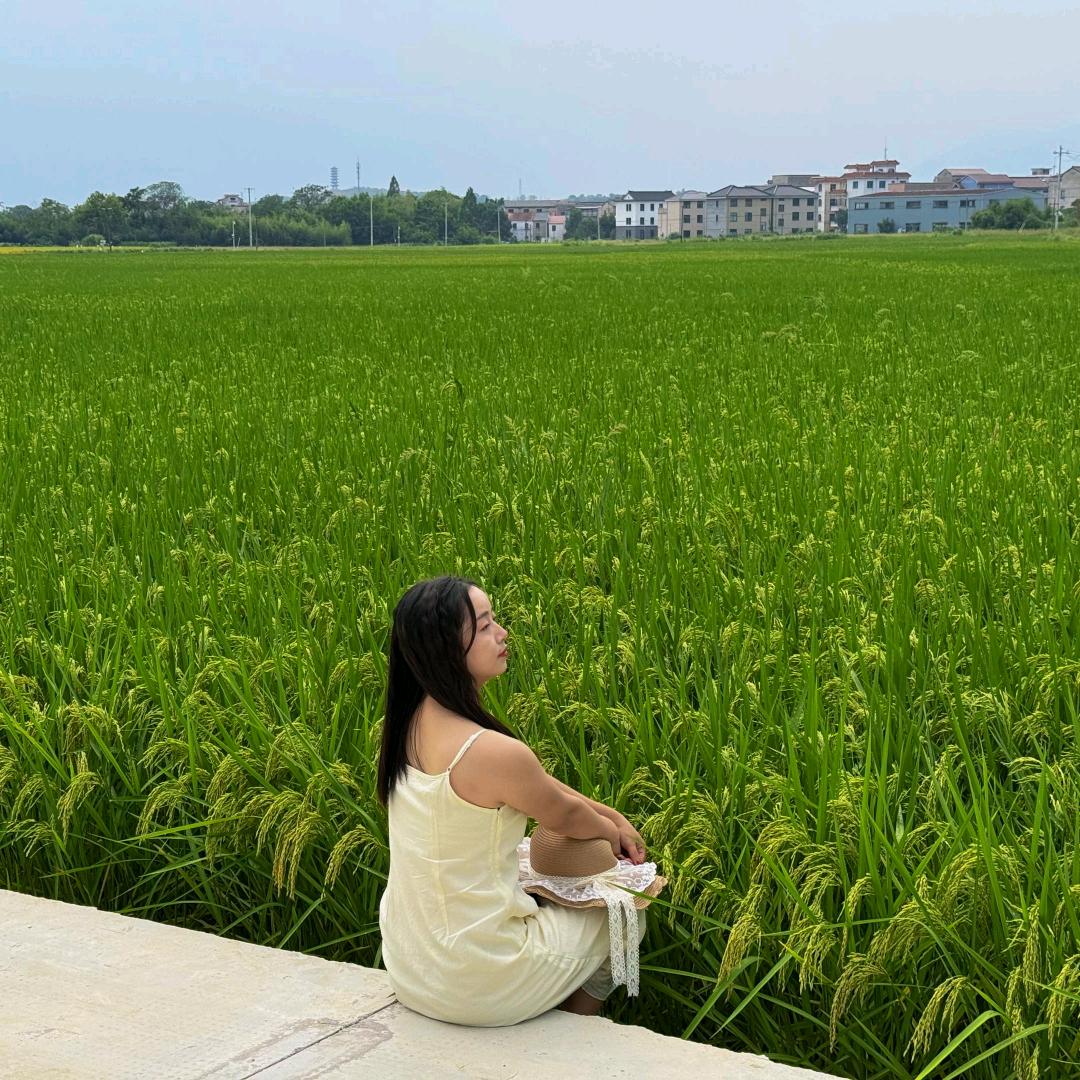 说话的方式简单点꧂