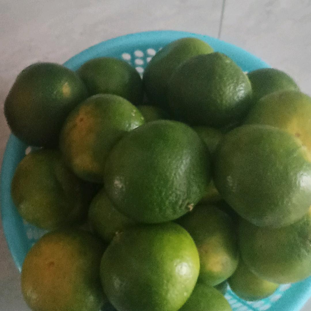 小橘子🍊🍊