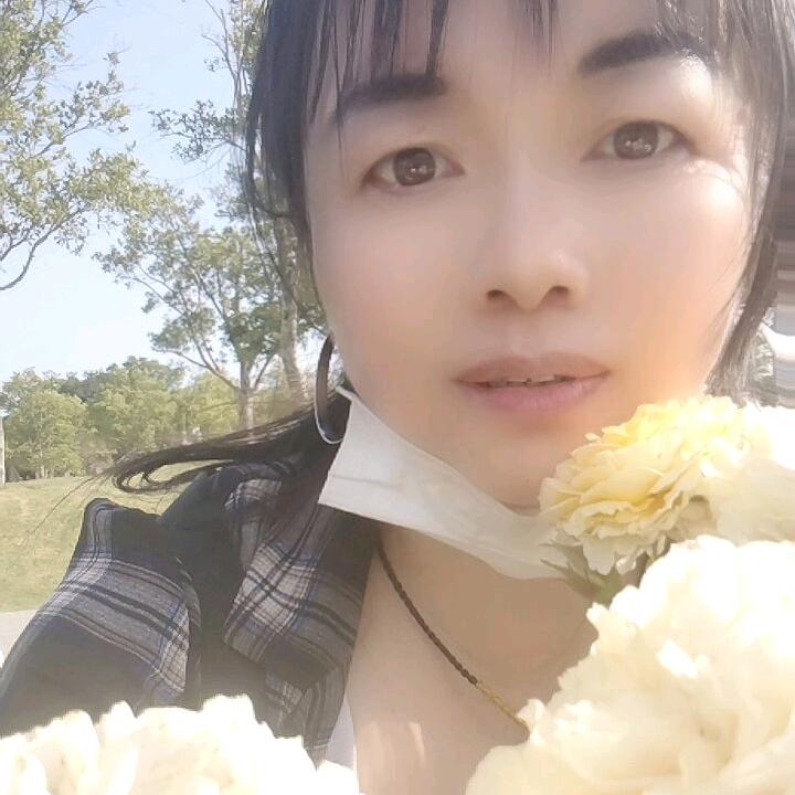 燕子。
