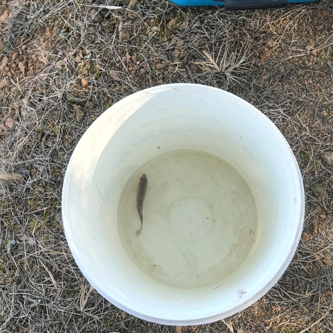 🌈柚子姐姐渔具小店