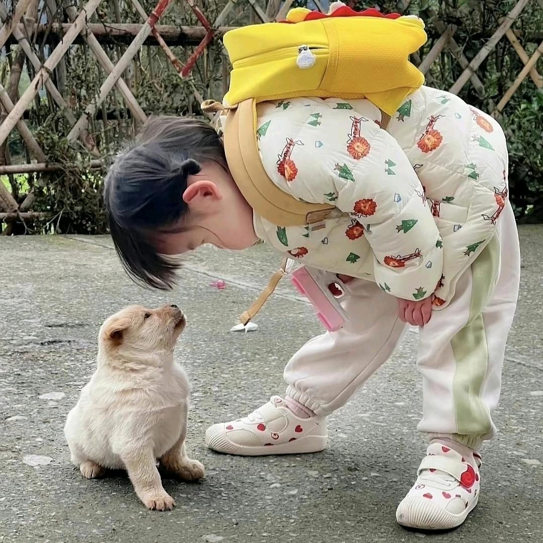 勺宝