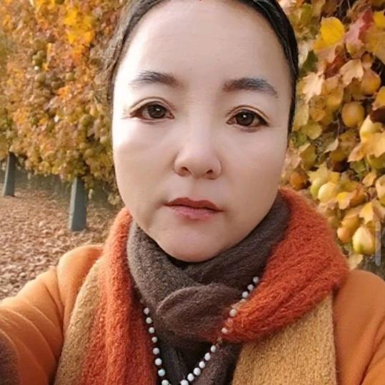 🌹封心🌷锁爱🌹