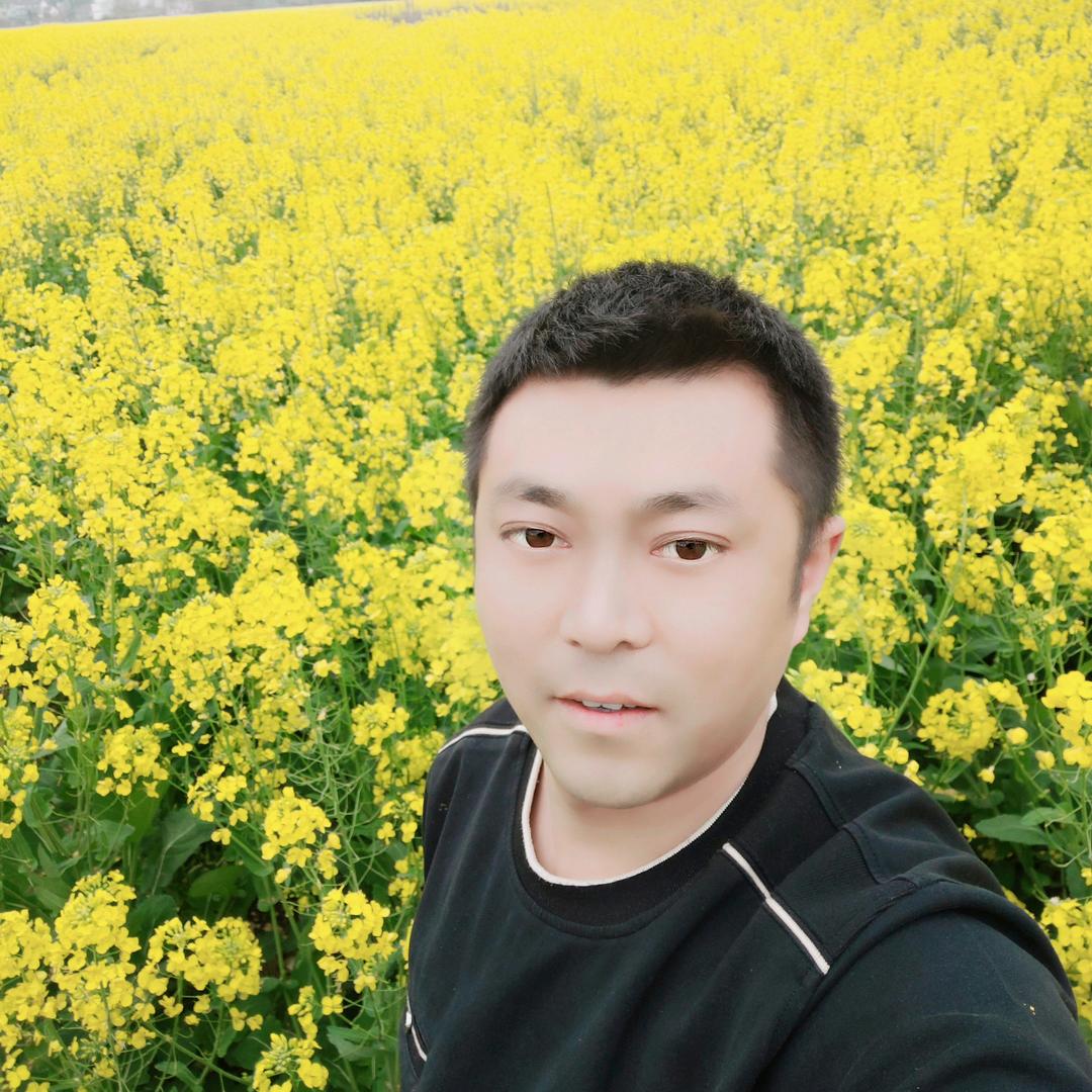 园宝的恺哥（美景推荐）