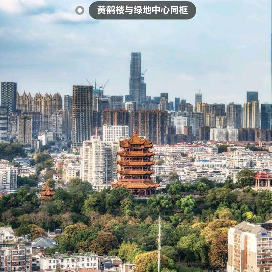 用户7821049386431