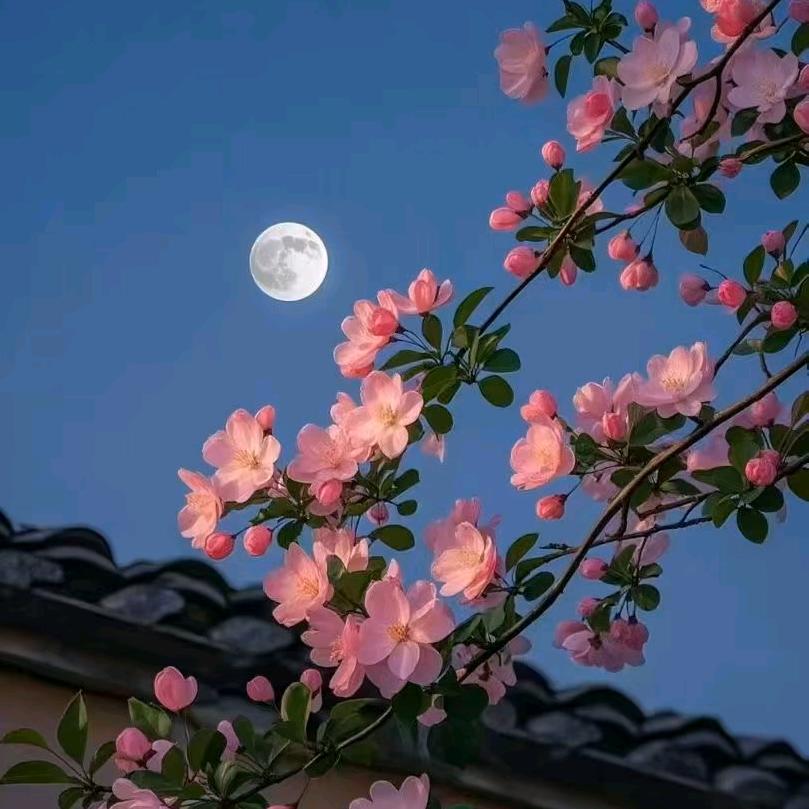 心悟至道