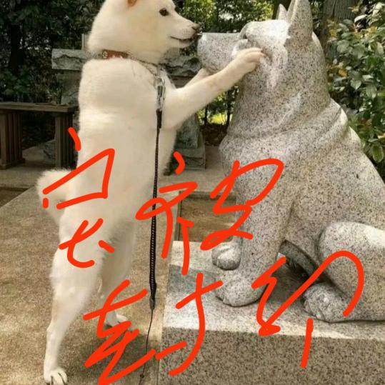 击掌挑战歌歌手