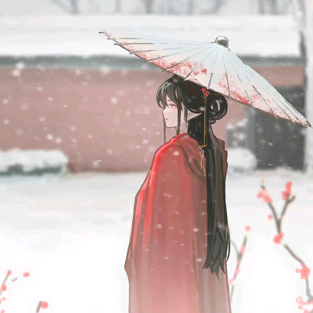 念君安