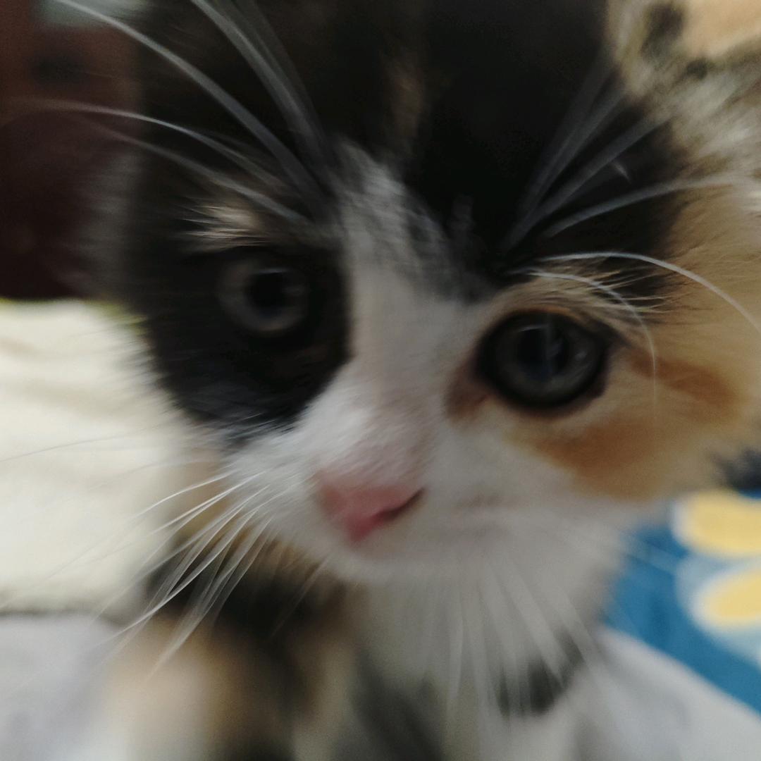 到底是谁我也忘了