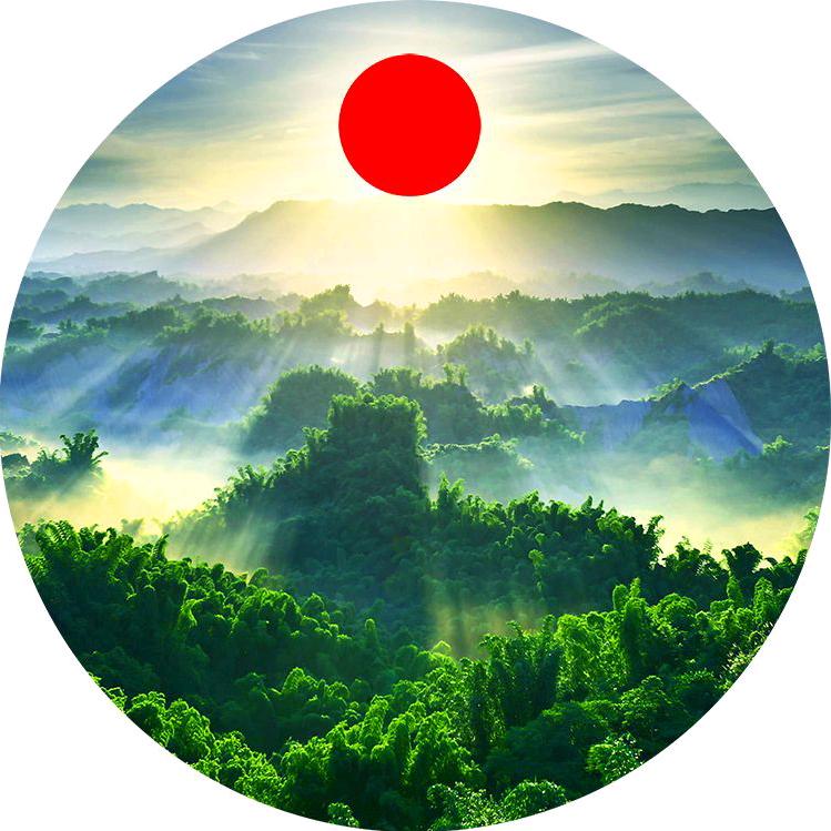 红日东明万年青