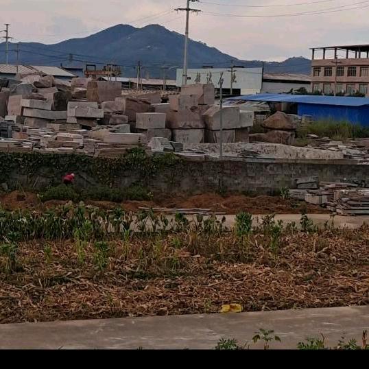 随风漂泊