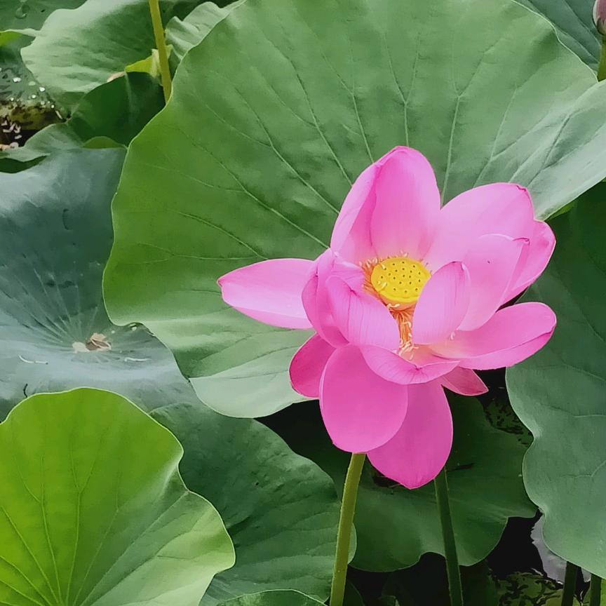 风雨潇洒人生