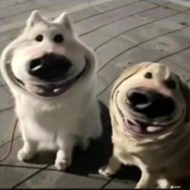 灵灵真