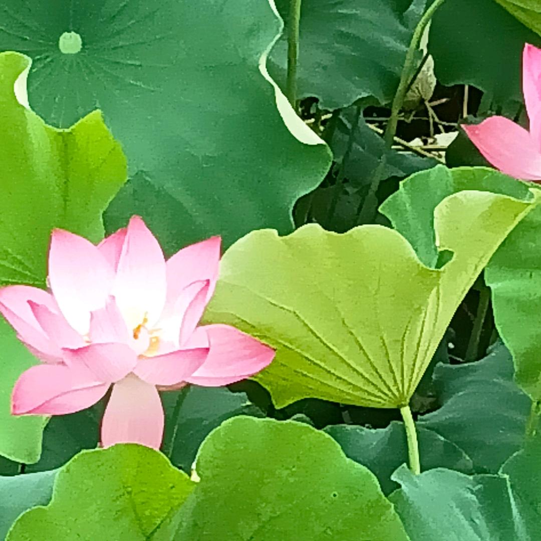 等你来