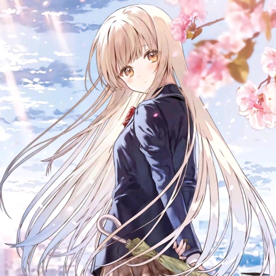 夏夜晚风
