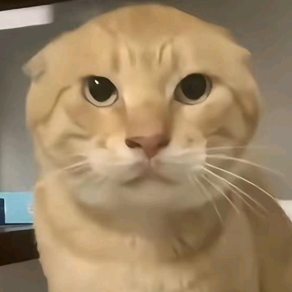 艾斯卡诺