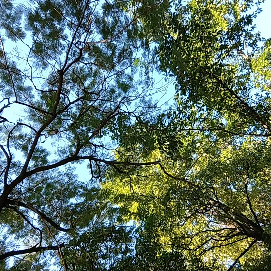 粉梦里水乡。