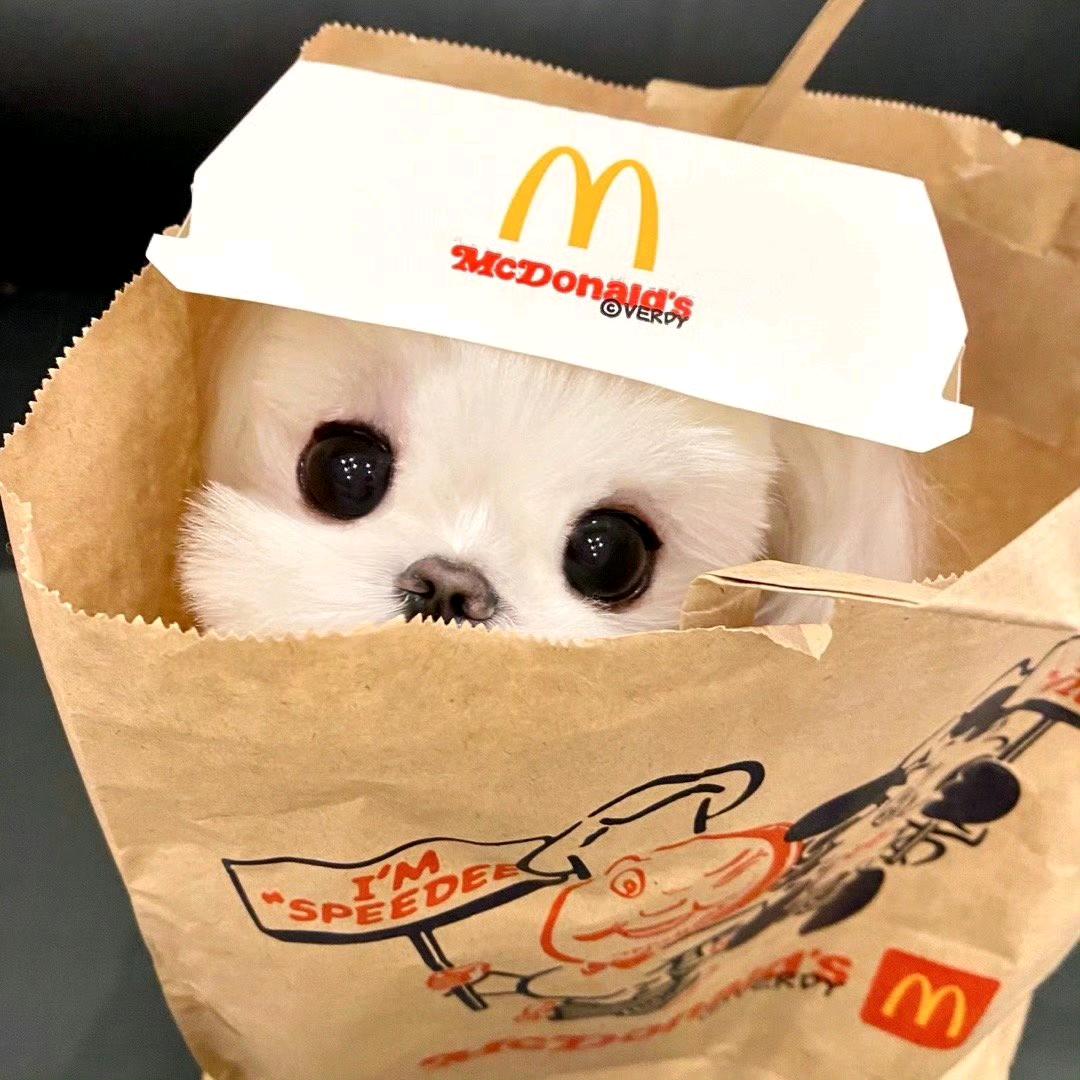 444