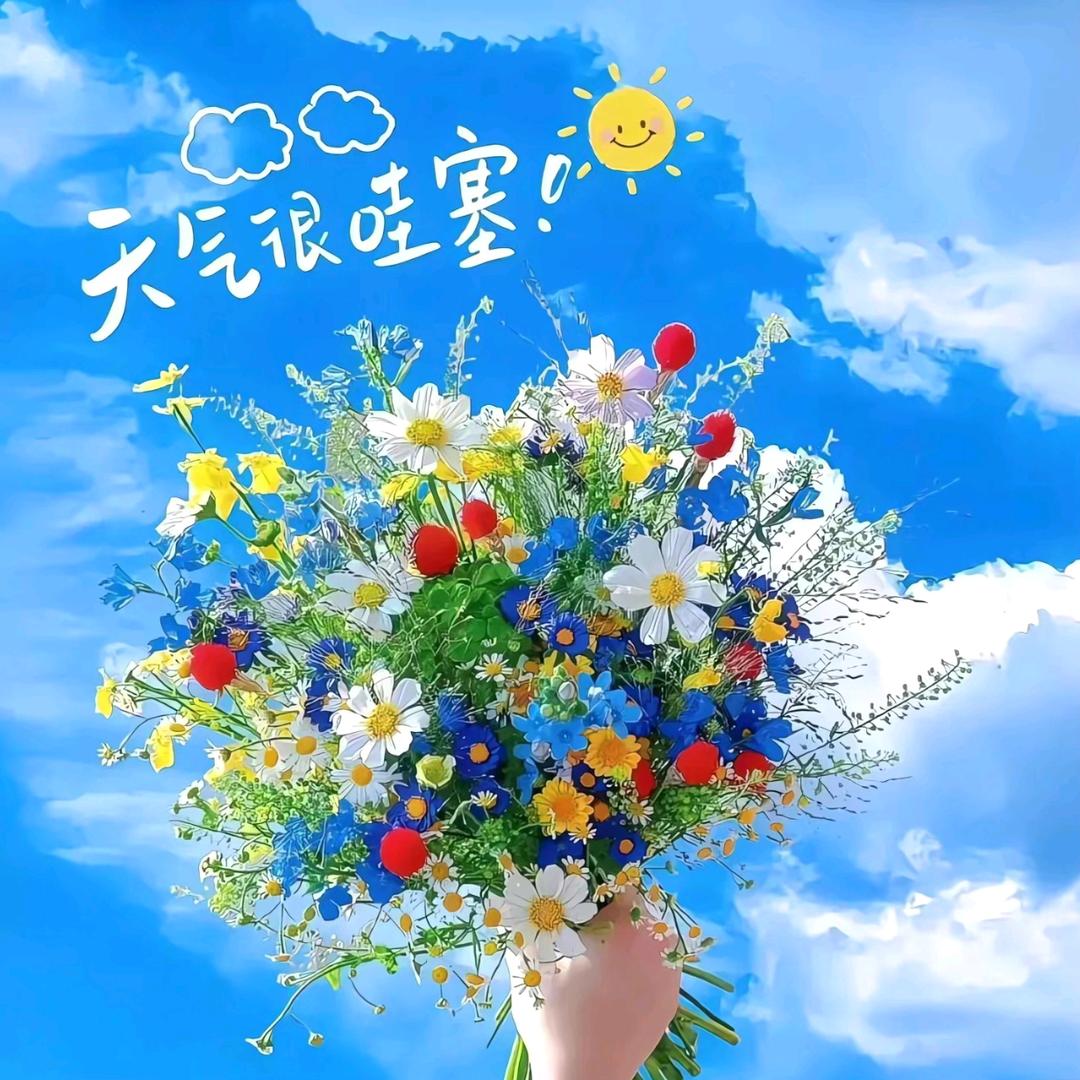 是大婷吖